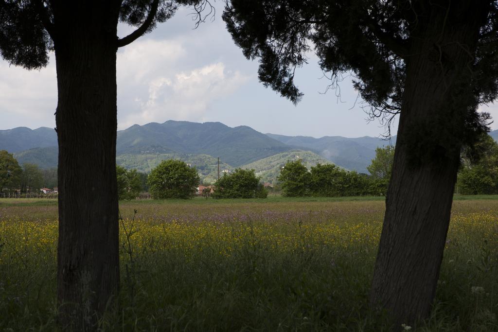 Agriturismo La Topaia บอร์โก ซาน ลอเรนโซ ภายนอก รูปภาพ