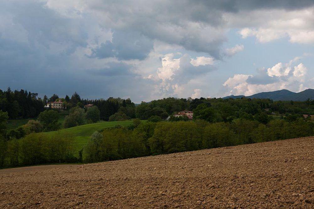Agriturismo La Topaia บอร์โก ซาน ลอเรนโซ ภายนอก รูปภาพ