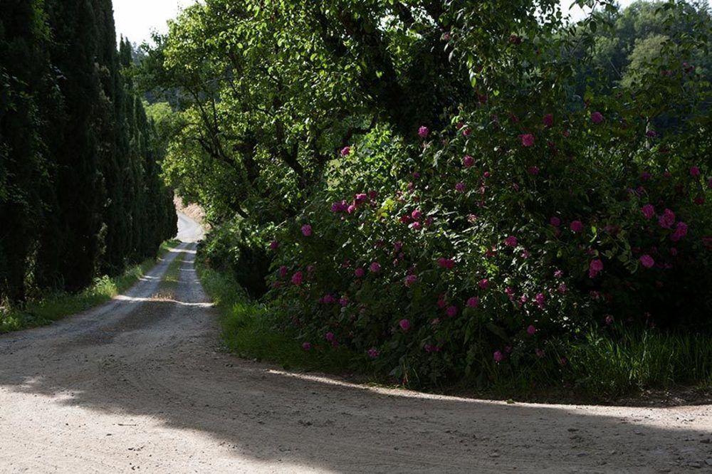 Agriturismo La Topaia บอร์โก ซาน ลอเรนโซ ภายนอก รูปภาพ