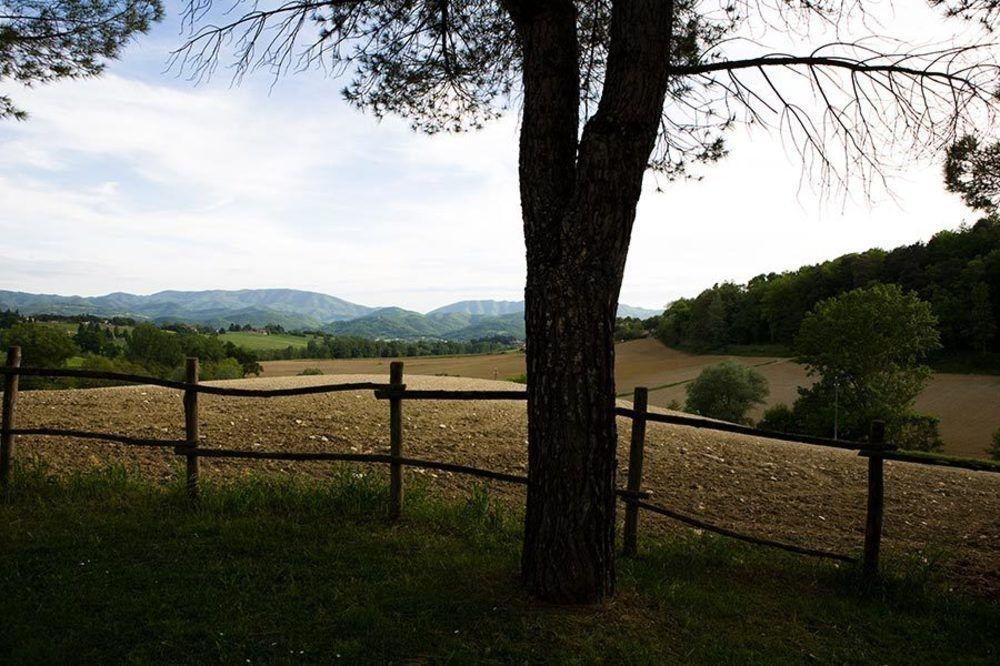 Agriturismo La Topaia บอร์โก ซาน ลอเรนโซ ภายนอก รูปภาพ