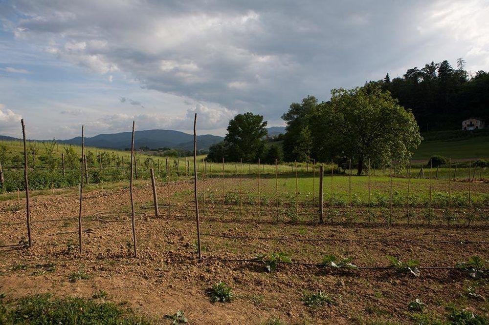 Agriturismo La Topaia บอร์โก ซาน ลอเรนโซ ภายนอก รูปภาพ