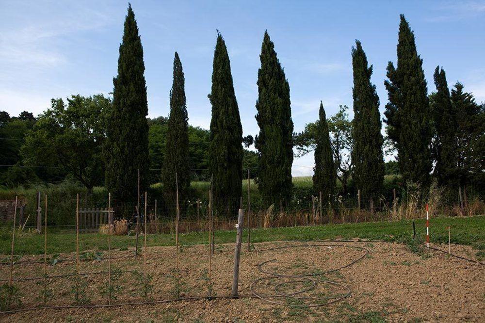 Agriturismo La Topaia บอร์โก ซาน ลอเรนโซ ภายนอก รูปภาพ